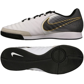 Indendørs sko Nike Tiempo LegendX 7 Academy Ic M AH7244-100 grå sølv