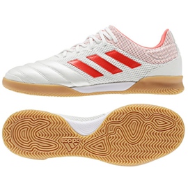 Indendørs sko adidas Copa 19.3 IN Sala M D98065 hvid