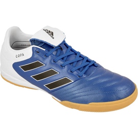 Indendørs sko adidas Copa 17.3 I M BB0853