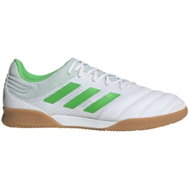 Indendørs sko adidas Copa 19.3 I Sala M BC0559 hvid hvid