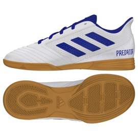 Indendørs sko adidas Predator 19.4 I Sala Jr CM8553 flerfarvet hvid