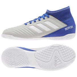 Indendørs sko adidas Predator 19.3 I Jr CM8545 flerfarvet grå