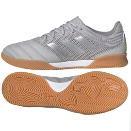 Adidas Copa 20.3 In Sala M EF8335 fodboldstøvler grå
