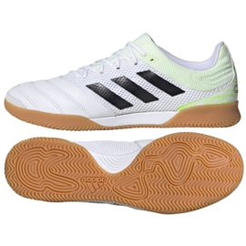 Indendørs sko adidas Copa 20.3 I Sala M G28547 flerfarvet hvid