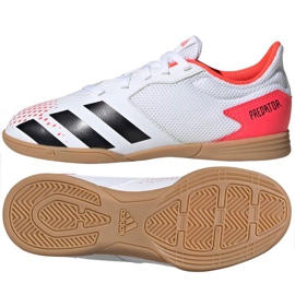 Indendørs sko adidas Predator 20.4 I Sala Jr EG0930 flerfarvet hvid