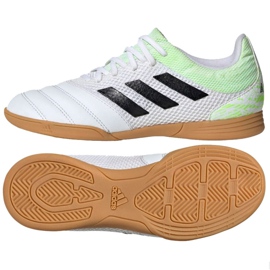 Indendørs sko adidas Copa 20.3 I Sala Jr EF1916 flerfarvet hvid
