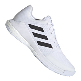 Adidas Crazyflight M FW8237 volleyballsko flerfarvet hvid