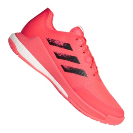 Adidas Crazyflight Tokyo M FX1764 volleyballsko flerfarvet lyserød