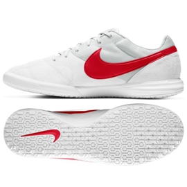 Indendørs sko Nike Premier Ii Sala Ic M AV3153-160 flerfarvet hvid