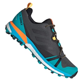 Adidas Terrex Skychaser Lt Gtx M FX0148 sko flerfarvet blå