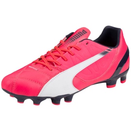 Fodboldstøvler Puma Evo Speed ​​3.3 Fg 103014 03 lyserød lyserød