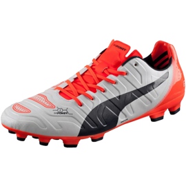 Puma Evo Power 1.2 Ag 103213 05 fodboldstøvler grå