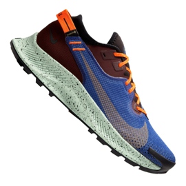 Nike Pegasus Trail 2 Gtx M CU2016-600 løbesko flerfarvet