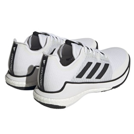 Adidas CrazyFlight M HP3355 volleyballsko hvid 3