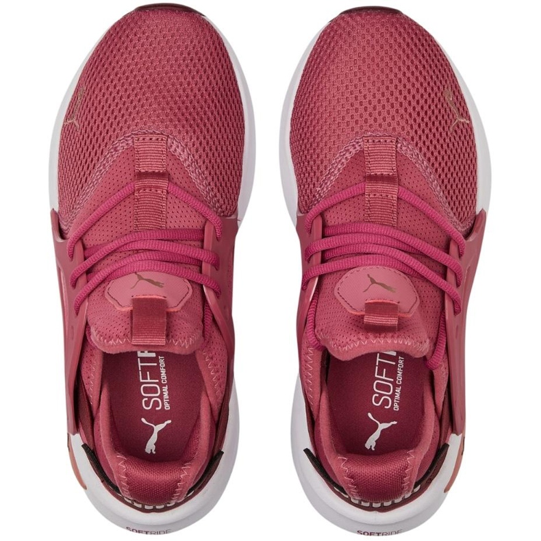 Damesko Puma Softride Enzo Evo dirty pink 377048 05 flerfarvet 2