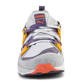 Puma Blaze of Glory Psychedelics M 387576-01 sko flerfarvet 1