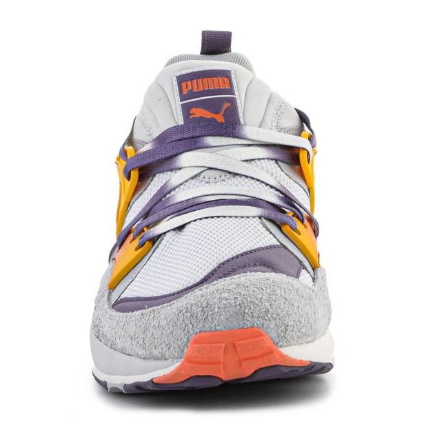 Puma Blaze of Glory Psychedelics M 387576-01 sko flerfarvet 1