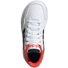 Adidas Hoops 3.0 K Jr GZ9673 sko hvid 1