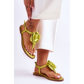 Step in style Flip-flop sandaler Model Carisma QQ-137 Lime - Træd med stil grøn 1