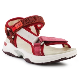 Sandaler D.Franklin Sneakers Sandalstrimler DFSH406003-BURG rød 1