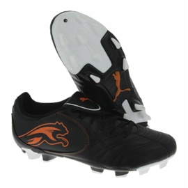 Fodboldstøvler Puma Boca Fg Jr 102532 03 sort sort 1