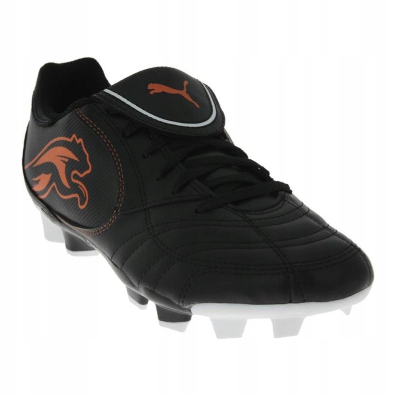 Fodboldstøvler Puma Boca Fg Jr 102532 03 sort sort 2