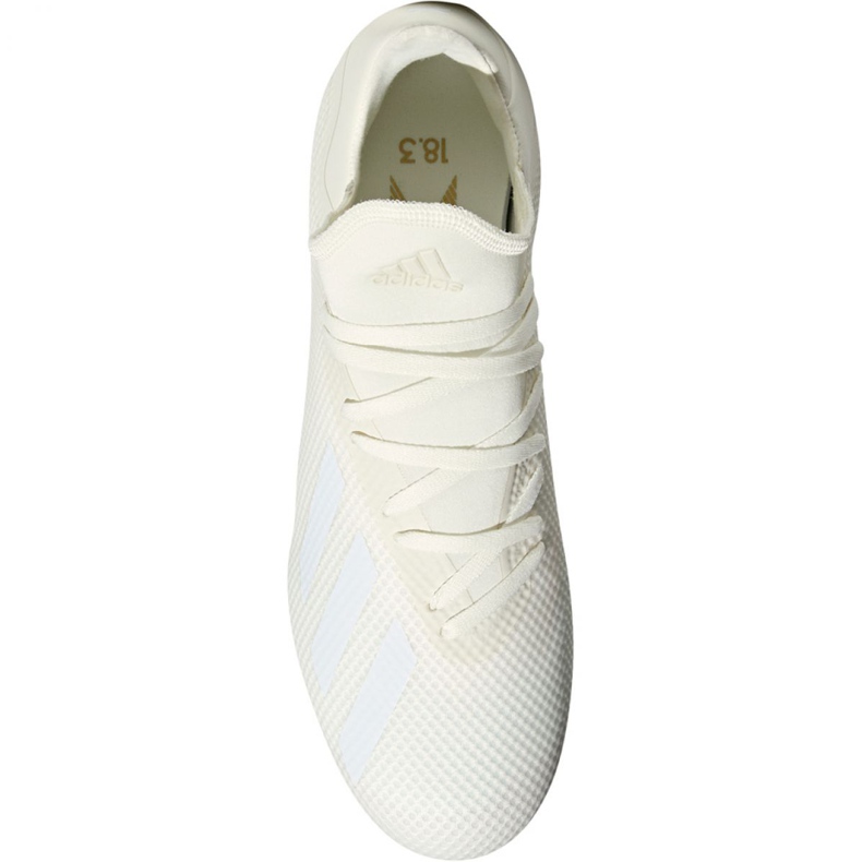 Adidas X 18.3 Fg M DB2184 fodboldstøvler flerfarvet hvid 2