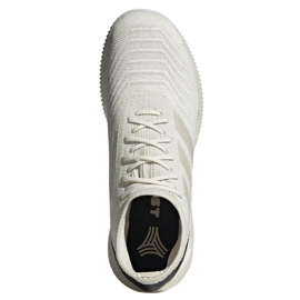 Indendørs sko adidas Predator 19.1 Tr M D98056 hvid flerfarvet 2