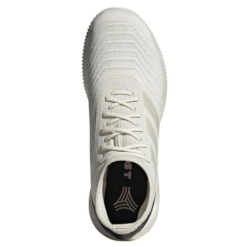 Indendørs sko adidas Predator 19.1 Tr M D98056 flerfarvet hvid 2