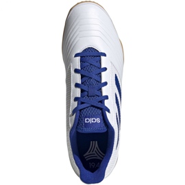 Indendørs sko adidas Predator 19.4 I Sala M D97974 hvid hvid 2