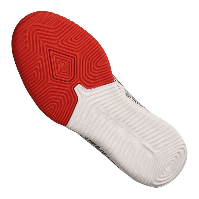 Indendørs sko Nike Jr Vapor 12 Academy Gs Njr Ic Jr AO9474-170 grå grå 2