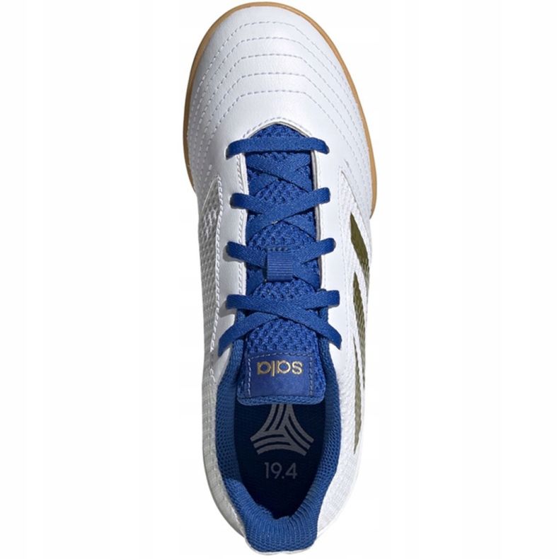 Indendørs sko adidas Predator 19.4 I Sala Jr EG2829 hvid hvid 1