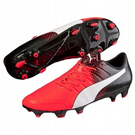 Fodboldstøvler Puma Evo 2.3 Fg M 103853 01 sort sort 2