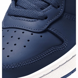 Nike Court Borough Low 2 (GS) Jr BQ5448-401 sko beige marineblå 1