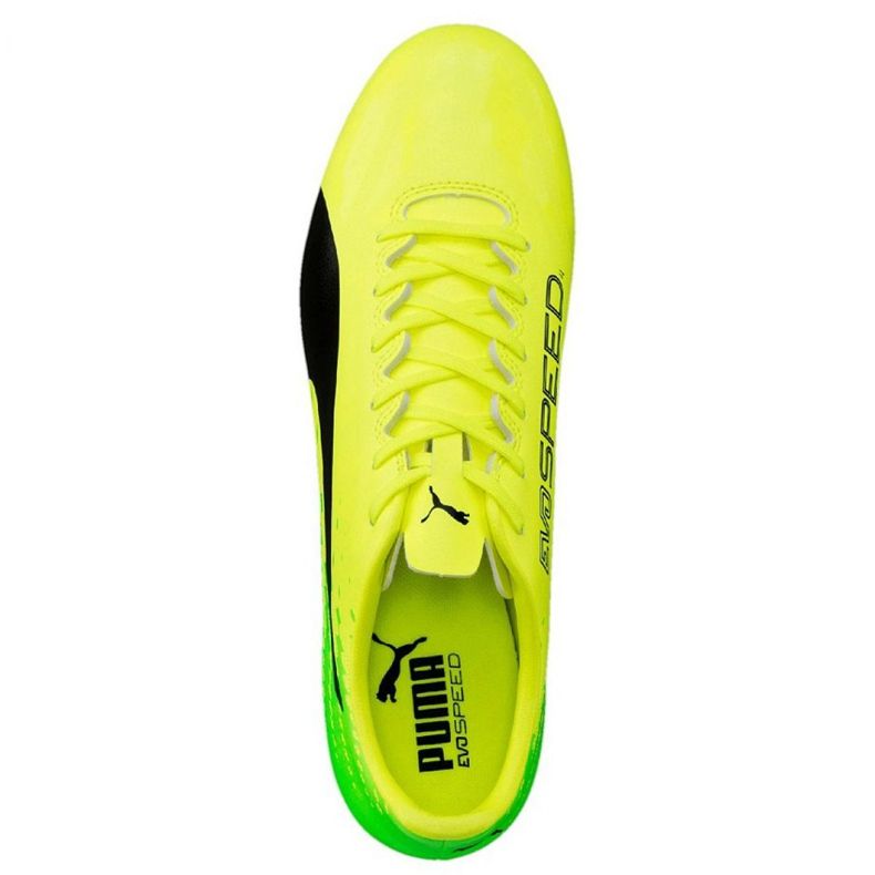 Fodboldstøvler Puma Evo Speed ​​17.4 Fg M 104017 01 grøn 1