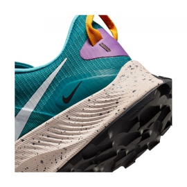 Nike Pegasus Trail 3 M DA8697-300 løbesko blå 1