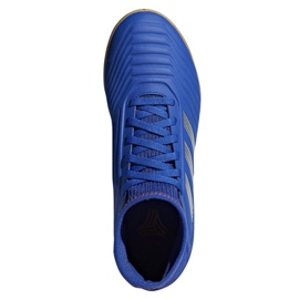 Indendørs sko adidas Predator 19.3 I Jr CM8543 flerfarvet blå 1