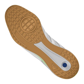Adidas Top Sala Ic M FV2558 fodboldstøvler flerfarvet hvid 1