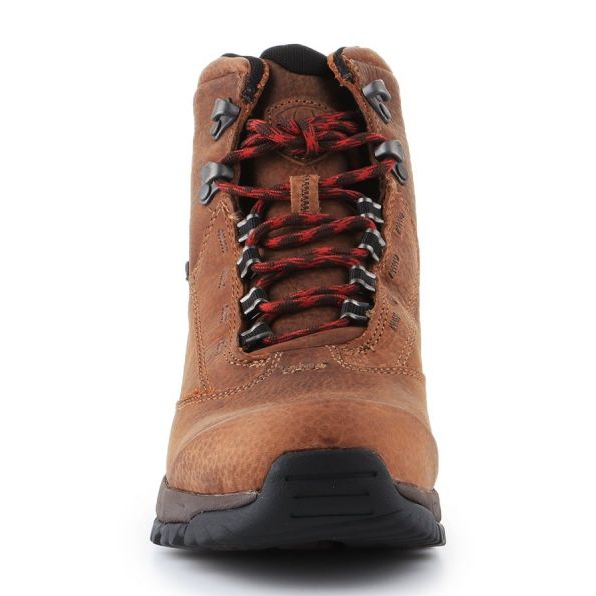 Ariat Berwick Gtx W 10016299 sko brun 2