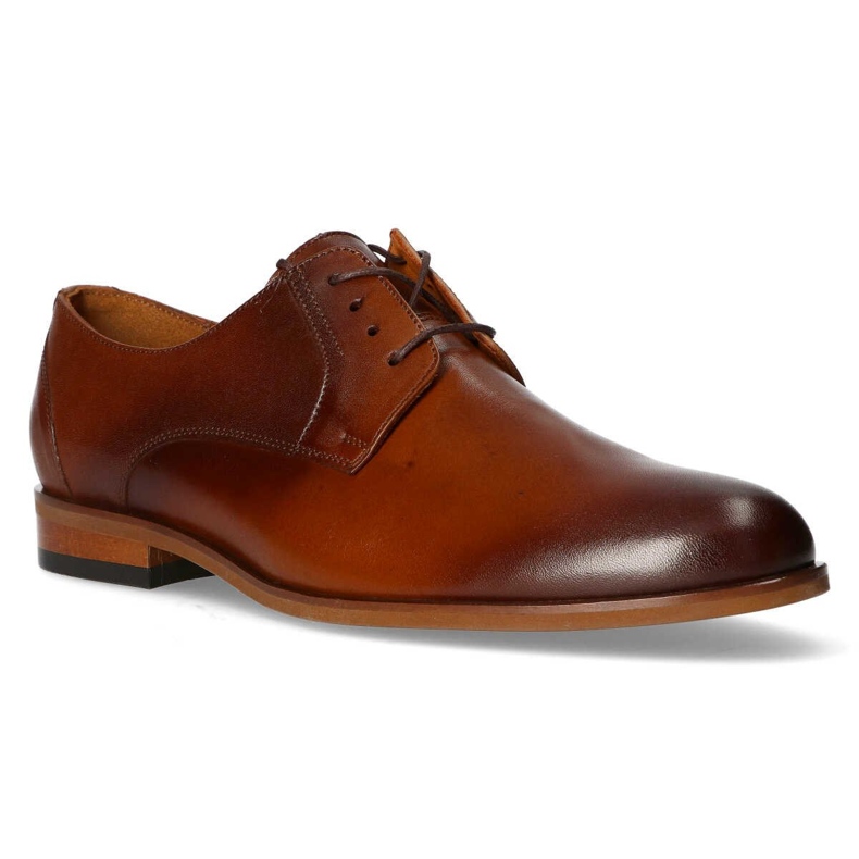 Filippo Premium Sko A-6934 Brun 1