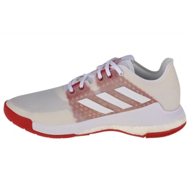 Volleyballsko adidas CrazyFlight W EF2679 hvid hvid 1