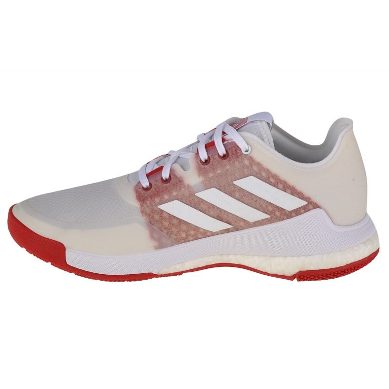 Volleyballsko adidas CrazyFlight W EF2679 hvid hvid 1